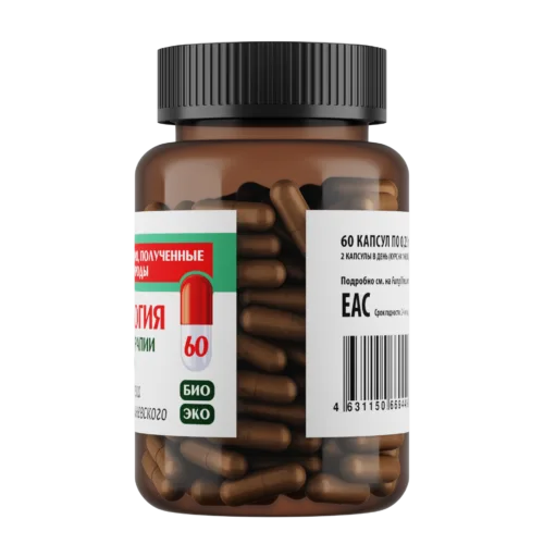 Онкология: поддержка при химиотерапии и ремиссии • 60 капсул