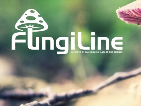 fungi line