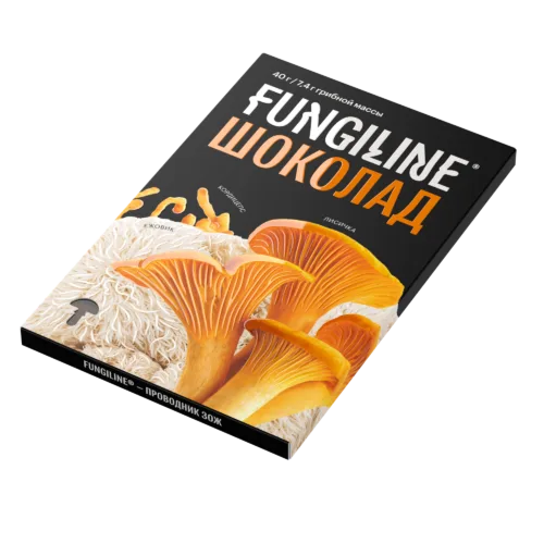 Грибной шоколад• Полезные сладости от Fungiline
