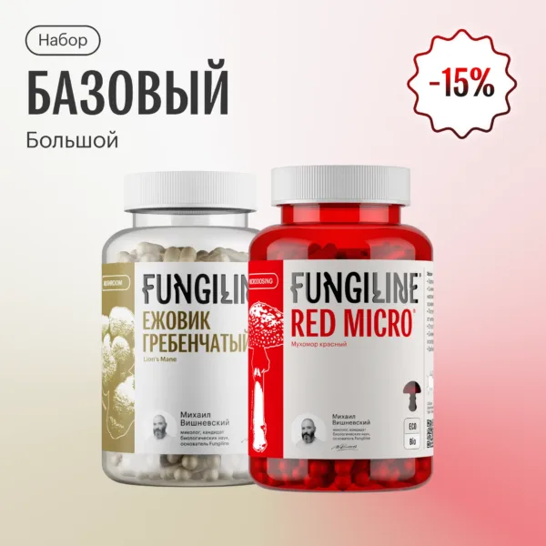 Набор базовый большой