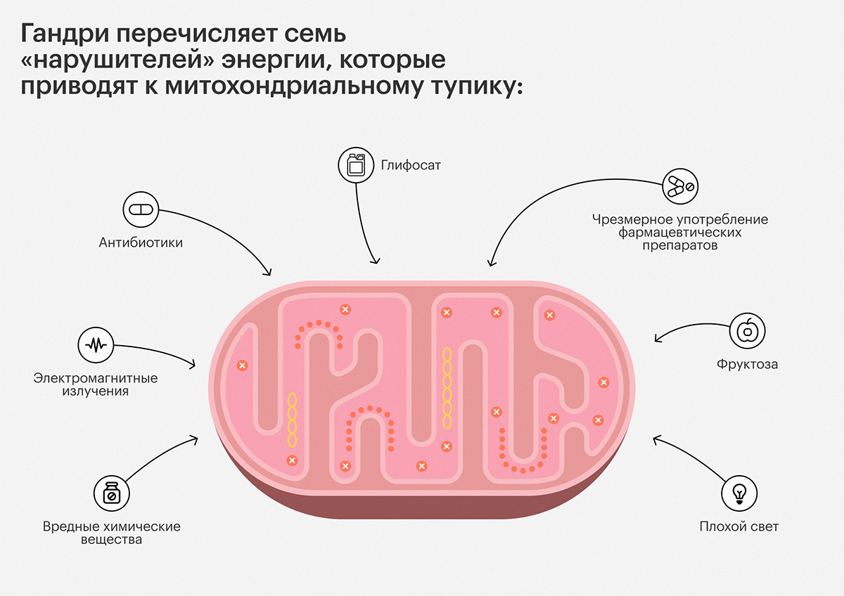 7 «нарушителей» энергии