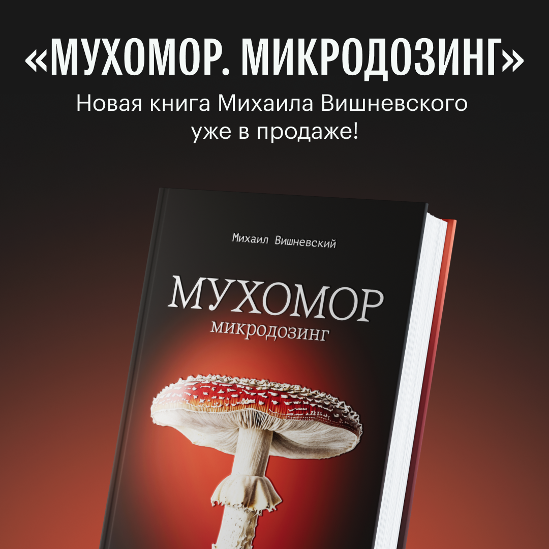 Заказать новую книгу Михаила Вишневского