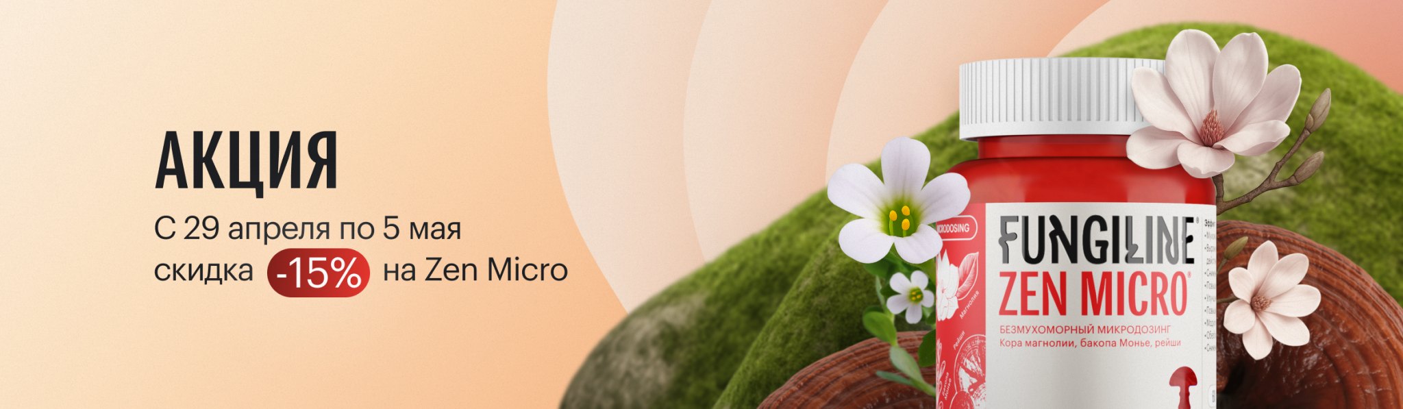 Грибное пространство Михаила Вишневского. Грибная аптека Fungiline в Москве