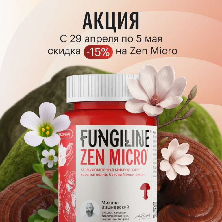 Грибное пространство Михаила Вишневского. Грибная аптека Fungiline в Москве