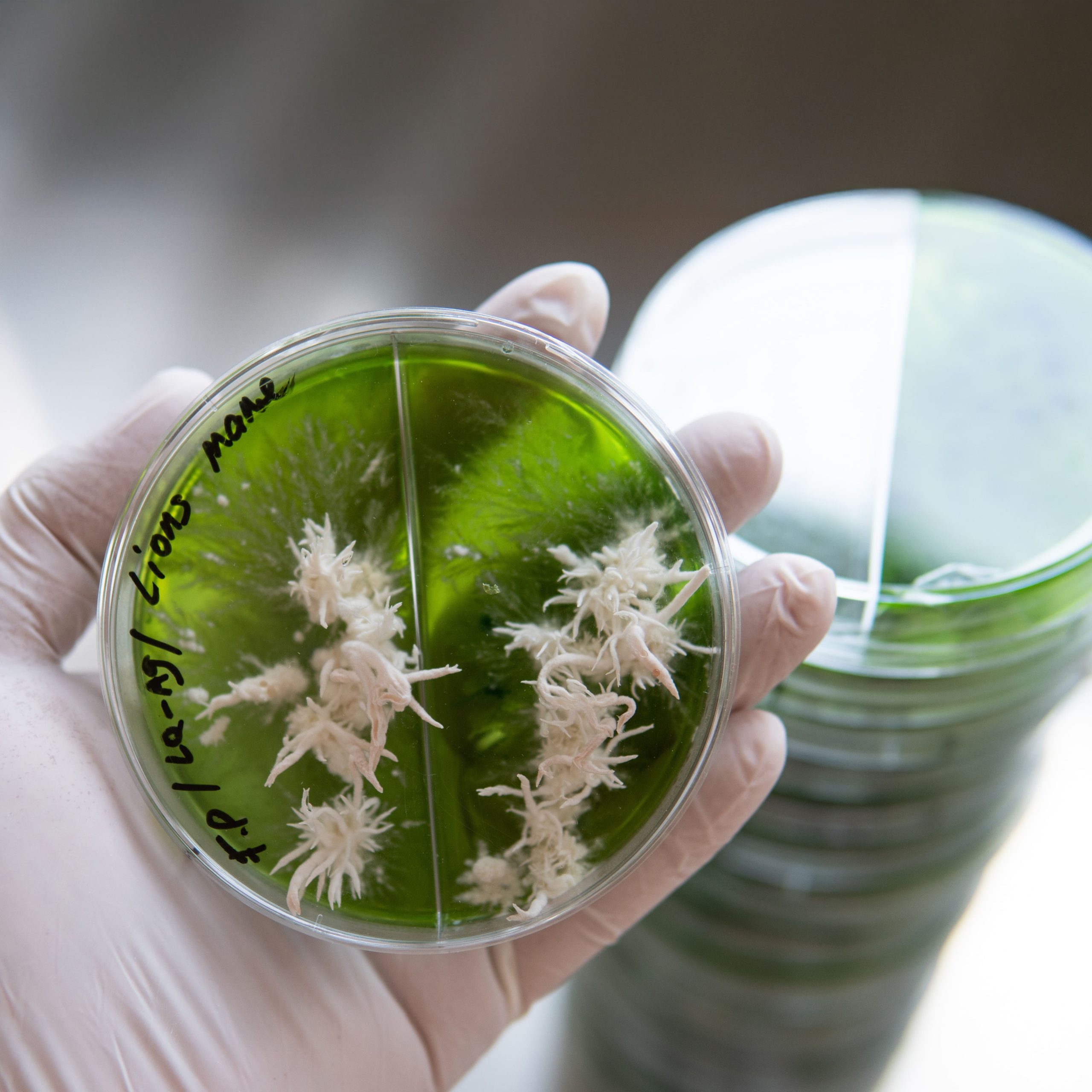 Научные исследования