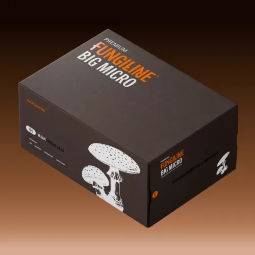 bigmicro2